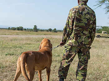Ol Pejeta Bush Camp: Anti Wilderer Einheit