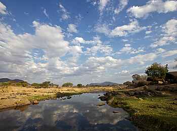 Ruaha River Lodge: Blick den Fluss entlang Ruaha River Lodge: Blick den Fluss entlang
