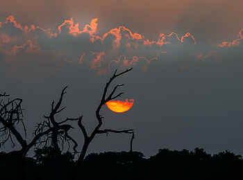 Saguni Safari Lodge: Dämmerung Saguni Safari Lodge: Dämmerung