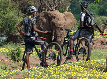 Tuli Safari Lodge Mashatu: Mit dem Rad unterwegs