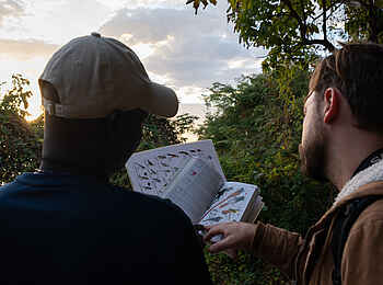 Blue Zebra Island Lodge: Vogelbeobachtung