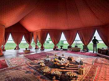 Jack's Camp: Perserteppiche