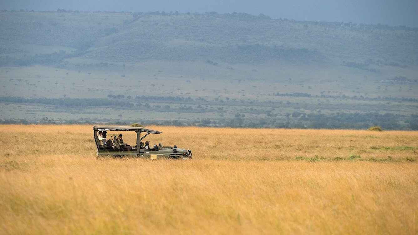 Paradise Plains Camp: Pirschfahrt