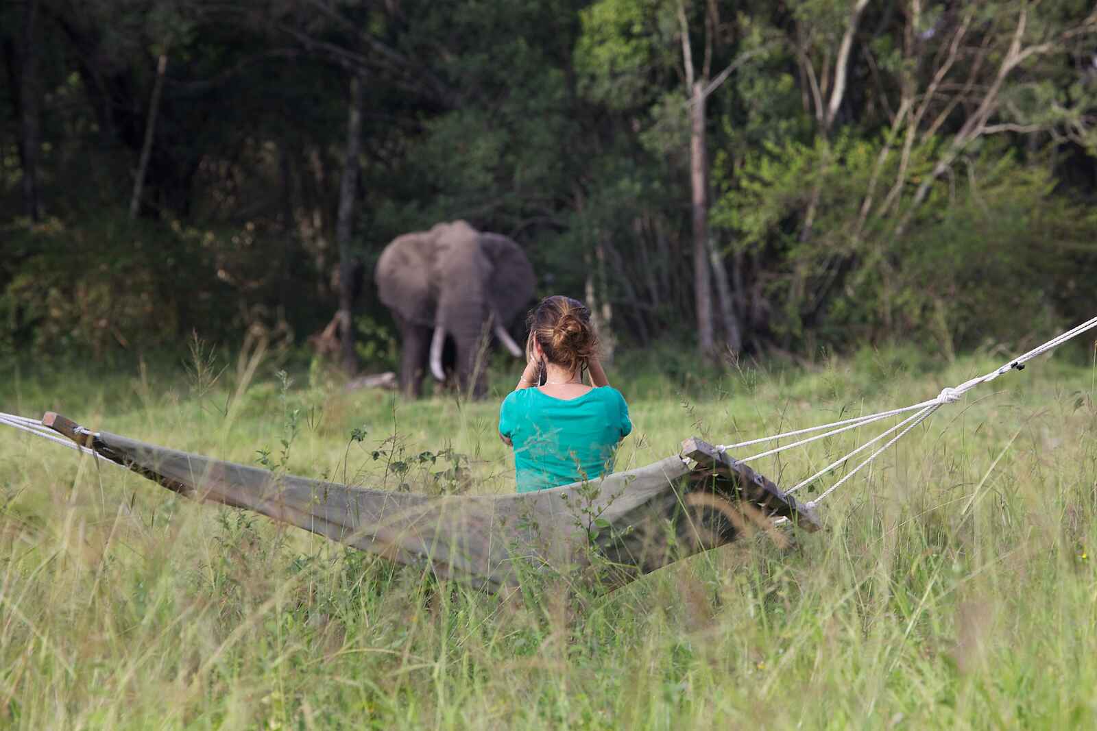 Elephant Pepper Camp: Elefantenbesuch Elephant Pepper Camp: Elefantenbesuch