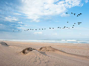 Hoanib Skeleton Coast Camp: Weite Landschaft Hoanib Skeleton Coast Camp: Weite Landschaft