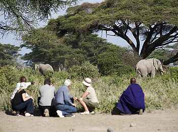 Kambi ya Tembo Camp: Walking Safari