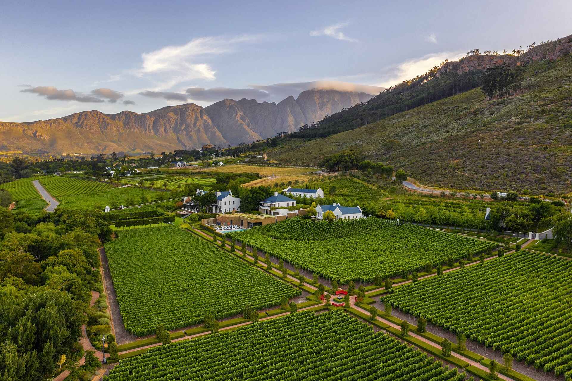 Leeu Estates: Die Weinberge