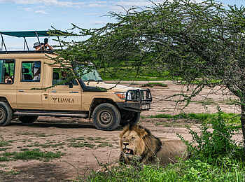 Lemala Osonjoi Lodge: Pirschfahrt Lemala Osonjoi Lodge: Pirschfahrt