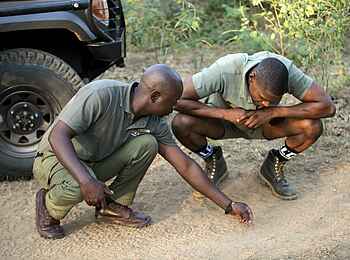 Lolebezi Lodge: Game Walk