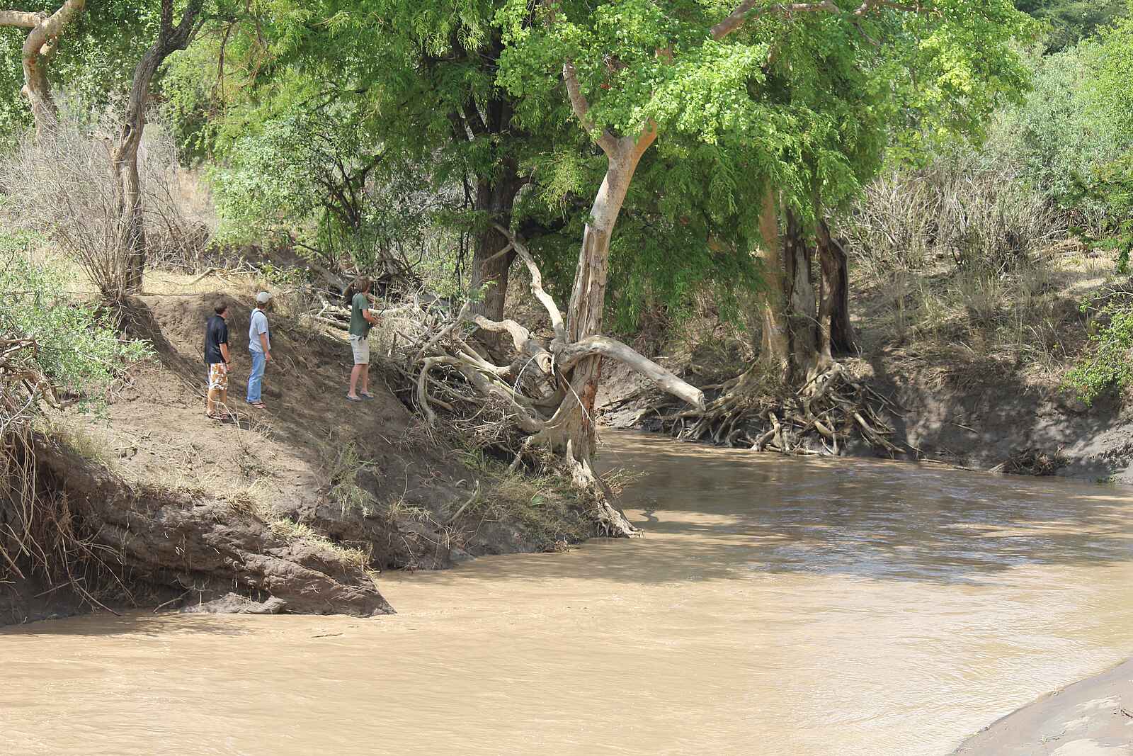Manyara Ranch: Am Fluss Manyara Ranch: Am Fluss