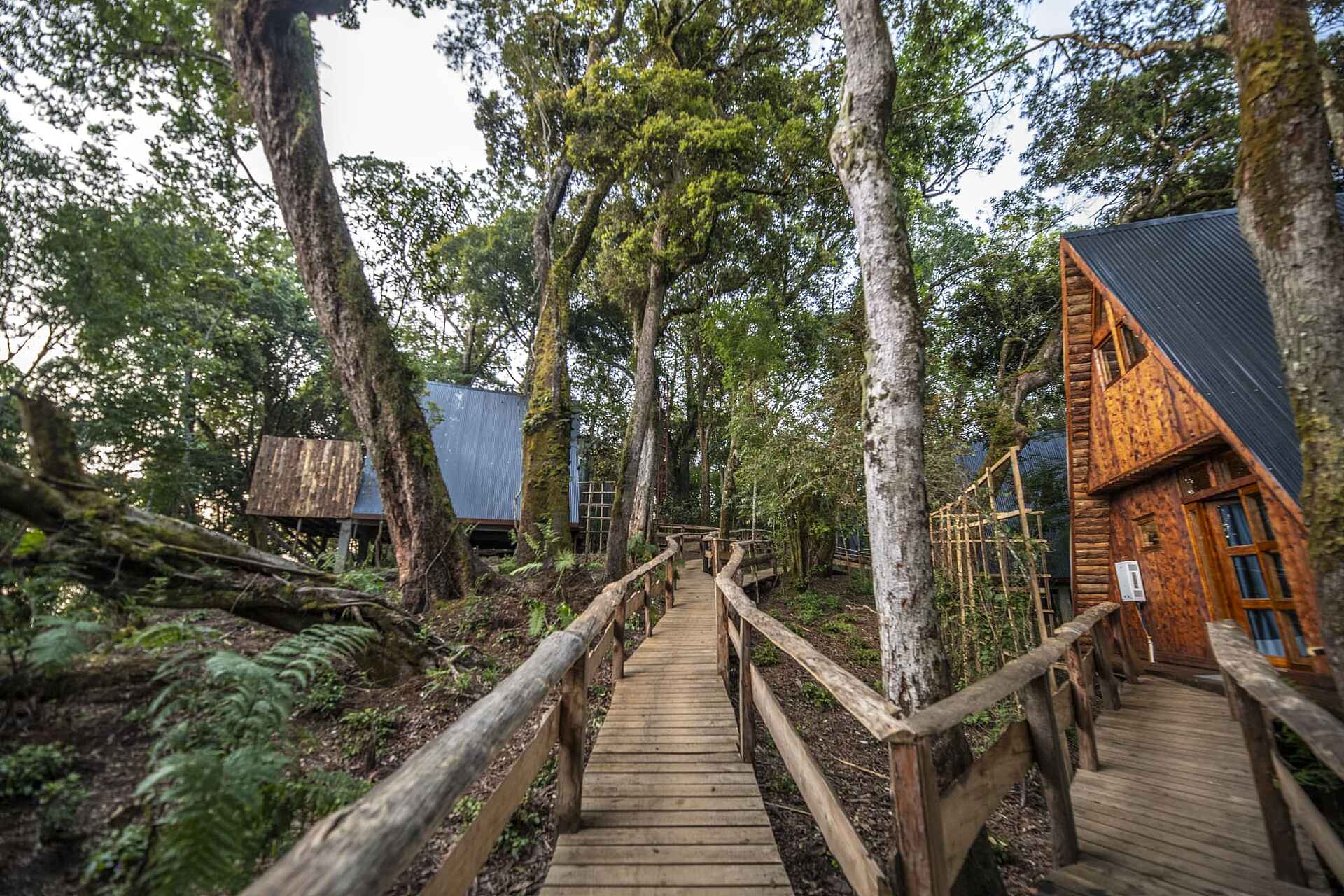Munazi Lodge: Wege zwischen Cottages Munazi Lodge: Wege zwischen Cottages