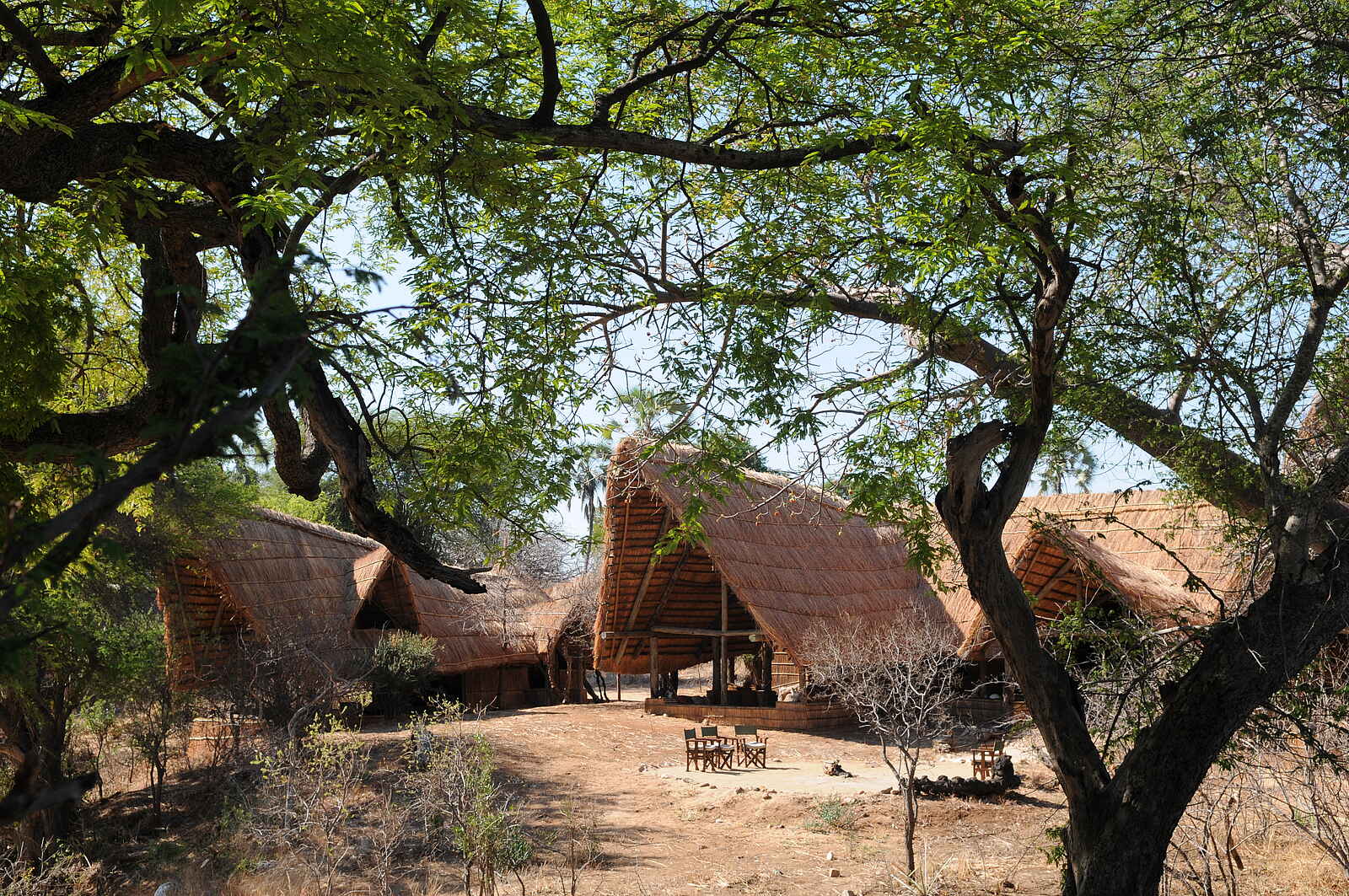 Mwagusi Safari Camp: Blick auf den zentralen Bereich des Camps Mwagusi Safari Camp: Blick auf den zentralen Bereich des Camps