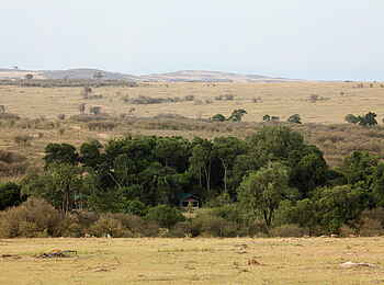 Rekero Camp: Weitläufige Buschsavanne Rekero Camp: Weitläufige Buschsavanne