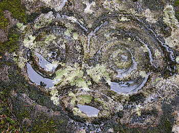 Tweedsmuir Park Lodge: Petroglyphe