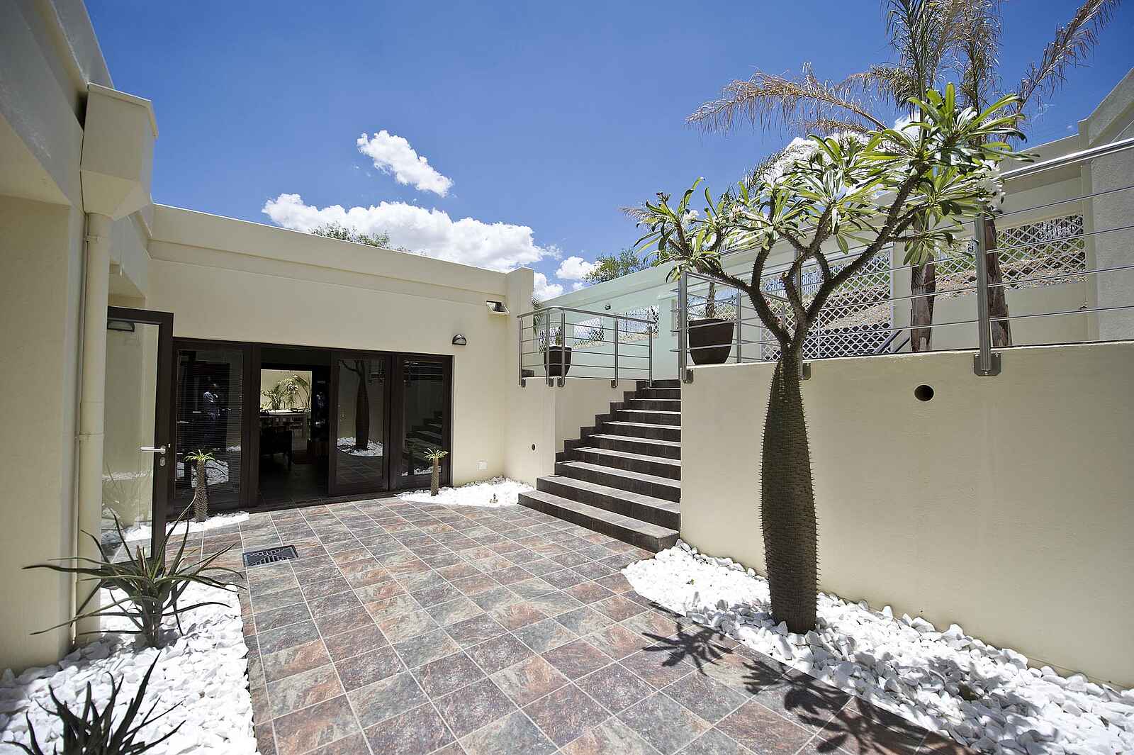 Galton House: Innenhof mit Sukkulenten Galton House: Innenhof mit Sukkulenten