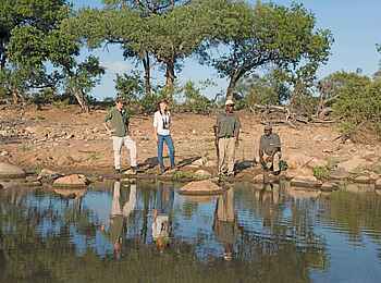 King's Camp: Wanderung im Busch King's Camp: Wanderung im Busch