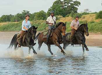 Mashatu Game Reserve: Ritt durch flaches Wasser im Majale River