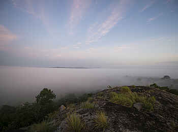 Mihingo Lodge: Lake Mburo NP im Nebel Mihingo Lodge: Lake Mburo NP im Nebel