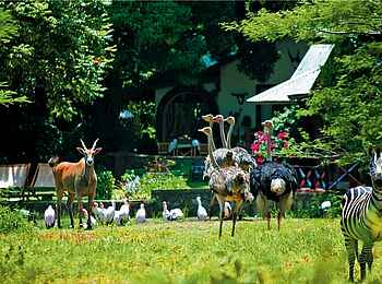 Mt. Meru Game Lodge: Tier im Garten