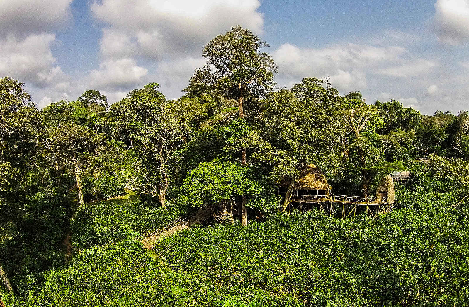 Ngaga Camp: Gästeunterkunft in den Baumkronen Ngaga Camp: Gästeunterkunft in den Baumkronen
