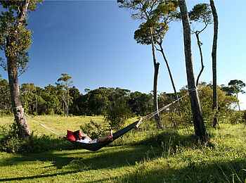 Elephant Pepper Camp: "Chill Out Area" Elephant Pepper Camp: "Chill Out Area"