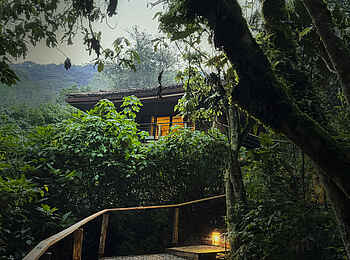 Gorilla Forest Lodge: Zugang zu einer Villa Gorilla Forest Lodge: Zugang zu einer Villa