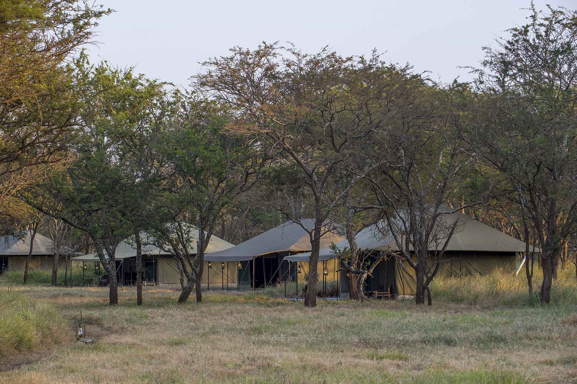 Naona Moru Camp, Nasikia Camps Tanzania, Serengeti Nationalpark, Gästezelte, Landschaft, Afrikarma, Afrikarma Safaris, Afrikarma Safaris - Wildnis. Hautnah., afrikarma.de