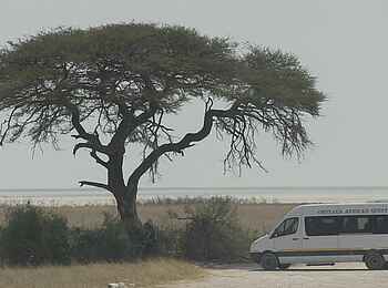 Okutala Lodge: Shuttlebus Okutala Lodge: Shuttlebus