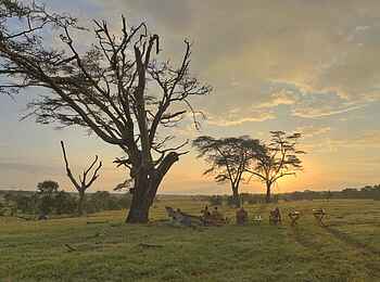 Ol Pejeta Bush Camp: Sundowner im Busch Ol Pejeta Bush Camp: Sundowner im Busch