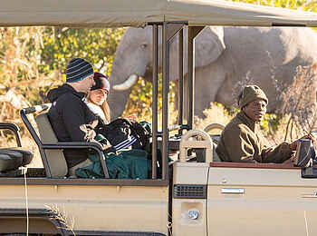 Rra Dinare Camp: Elefantenbegegnung