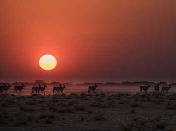 Safarihoek Lodge: Sonnenuntergang im Etosha National Park