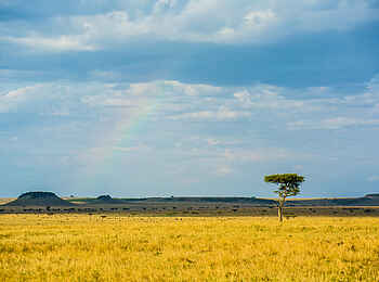 Sayari Camp: Blasser Regenbogen Sayari Camp: Blasser Regenbogen