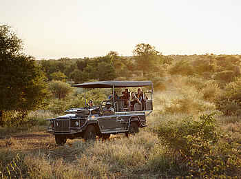 Singita Sweni Lodge: Game Drive