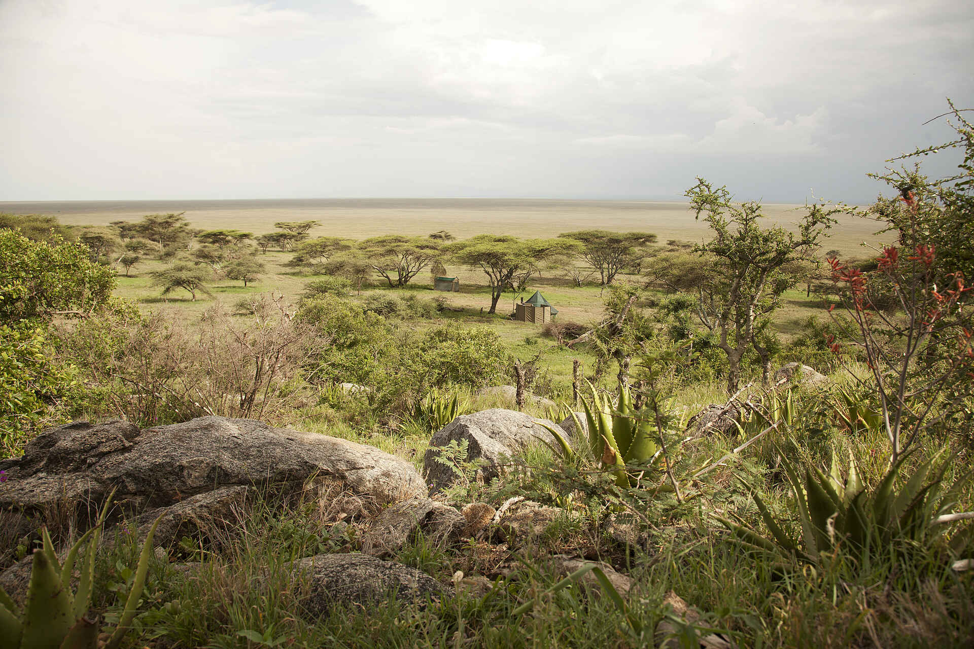 Naabi Hill, Serengeti, Tansania, Wayo Nabi Green Camp, Wayo Africa, Ausblick, Aussicht, Camp, Felsen, Landschaft, Umgebung, Afrikarma, Afrikarma Safaris, Afrikarma Safaris – Wildnis. Hautnah., afrikarma.de