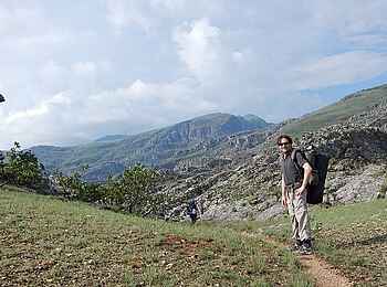 Frog and Fern Cottages: Ausblick Frog and Fern Cottages: Ausblick