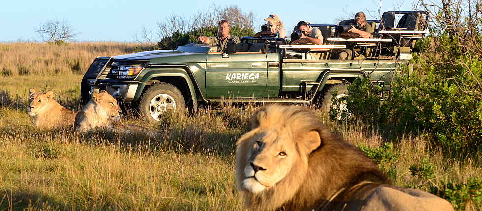 Garden Route, Kariega Game Reserve, Kariega Settlers Drift Lodge, Südafrika, Safari
