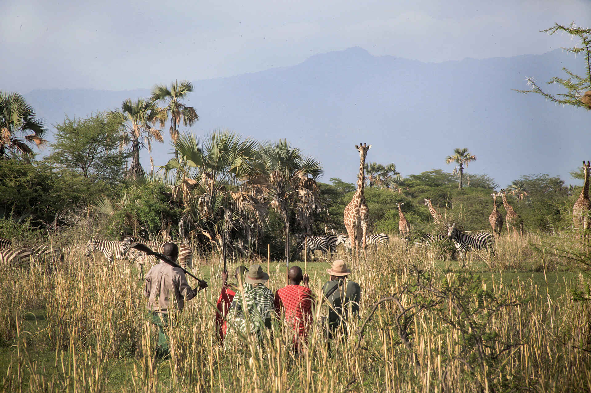 Chem Chem Lodge: Safari zu Fuß 5 sterne, afrikarma, arusha airport, auszeichnung, award, ballonsafari, bilder, buchen, buchung, chem chem, chem chem amani spa, chem chem lodge, chem chem reservat, chem chem reserve, elefant, fabia bausch, flamingo, gallerie, game drives, geführte Buschwanderungen, heißluftballon, helikopter, information, informieren, kilimanjaro international airport, kuro airstrip, lake manyara, lake manyara airstrip, leopard, lifewildlife, little chem chem, löwe, luxuriös, luxus, manyara, manyara-see, massage, nachhaltigkeit, nicolas negre, ostufer, pirschfahrten, private concession, private konzession, private reserve, privatreservat, reise, reisen, reiseveranstalter, safari, shop, slow safari, souvenirshop, spa, tansania, tanzania, tarangire, tarangire national park, tarangire nationalpark, urlaub, vollpension, www.afrikarma.de, yoga, aktivitäten, buschwanderung, fauna, giraffe, guide, landschaft, tiere, zebra