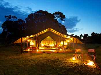 Elephant Pepper Camp: Nachtbeleuchtung Elephant Pepper Camp: Nachtbeleuchtung