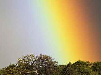 Etosha: Regenbogen im Etosha Nationalpark