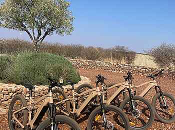 Gmundner Lodge: Ausflüge mit dem E-Bike Gmundner Lodge: Ausflüge mit dem E-Bike