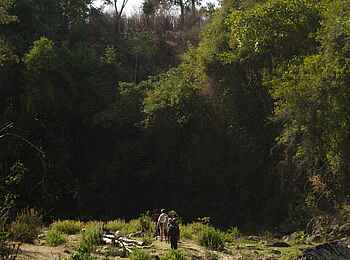 Kitich Camp: Zu Fuß durch die Wildnis Kitich Camp: Zu Fuß durch die Wildnis
