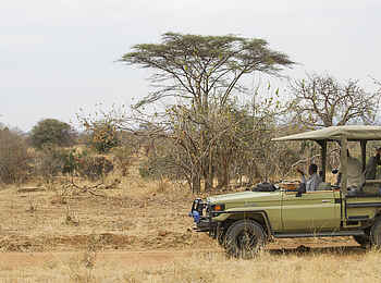 Kwihala Camp: Grünes Safarifahrzeug