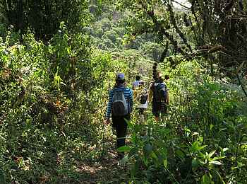 Lake Natron Camp: Tagesausflug