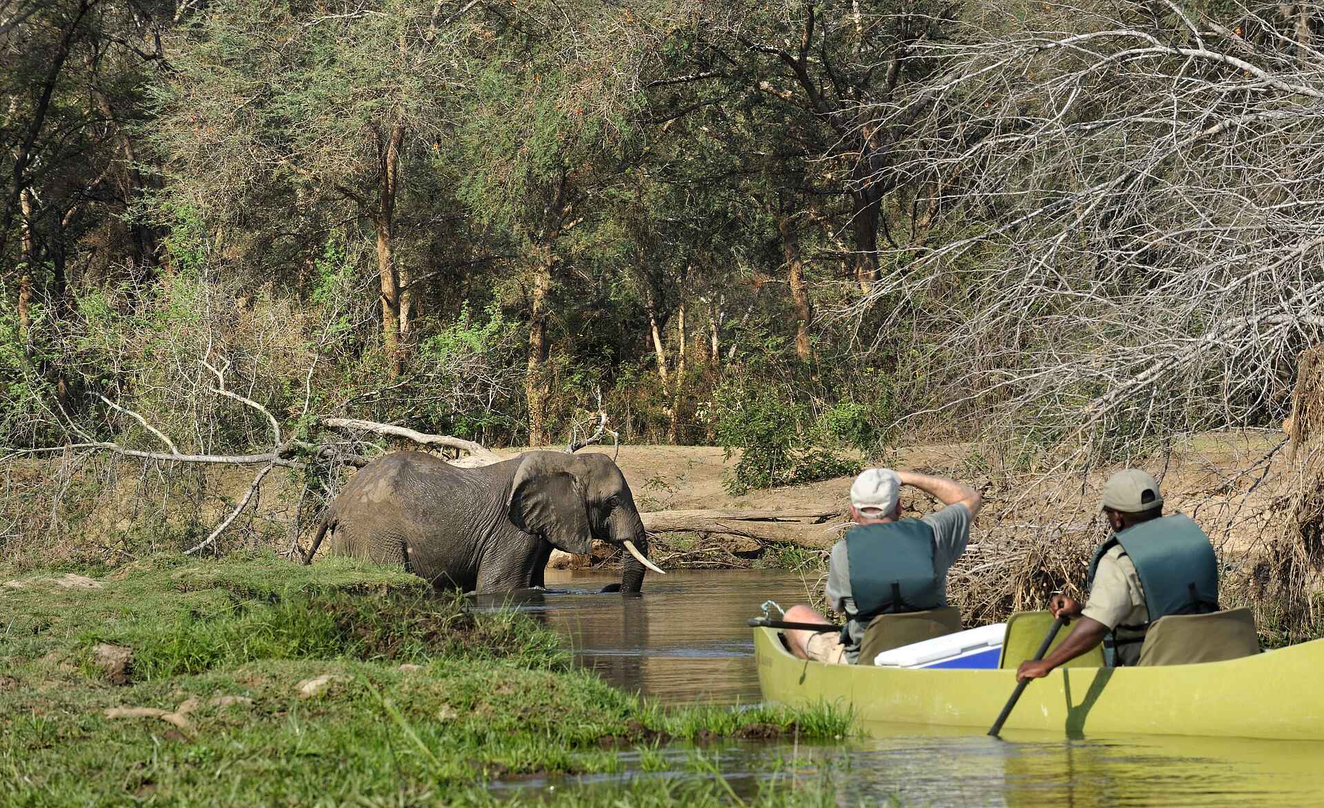 Old Mondoro Camp: Elefant und Kanuten