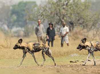 Shinde Footsteps: Zu Fuß unterwegs Shinde Footsteps: Zu Fuß unterwegs