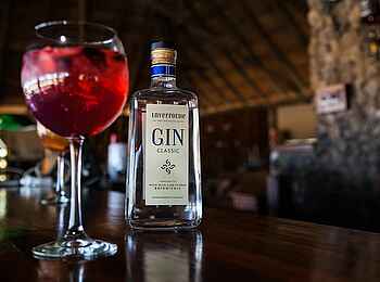 Camp Kuzuma: Gin Camp Kuzuma: Gin