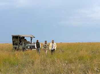 Paradise Plains Camp: Entdeckungen auf Pirschfahrt