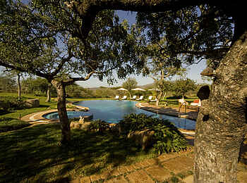 Thanda Villa iZulu: Liegen am Pool Thanda Villa iZulu: Liegen am Pool