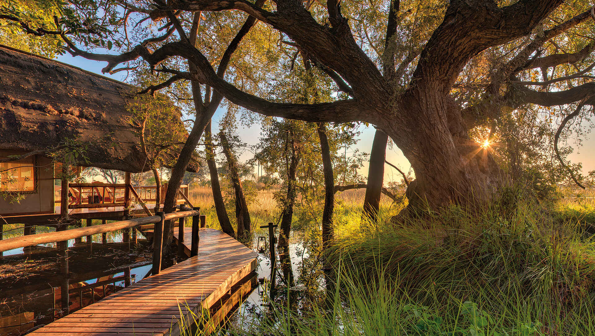 africa, afrika, auszeichnung, award, belmond, belmond eagle island camp, Belmond eagle island lodge, bilder, boro channel, boro-kanal, botsuana, botswana, buchen, buchung, eagle island camp, eagle island lodge, fish eagle bar, helikopter, helikoptersafari, hubschrauber, info, information, informieren, nordbotswana, northern botsuana, okavango, okavango delta, okavango-delta, orient epress safaris, orient express, orient-express, reise, reisen, reiseveranstalter, safari, southern africa, sÃ¼dliches afrika, urlaub, vollpension, wasseraktivitÃ¤ten, xaxaba, xaxaba island, xaxaba village, anlage, ansicht, AuÃŸenbereich, gÃ¤stezelt, guest room, unterkunft, Außenbereich, gästezelt, südliches afrika, wasseraktivitäten