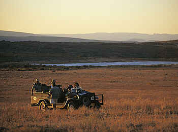 Bushmans Kloof Wilderness Lodge: Game Drive Bushmans Kloof Wilderness Lodge: Game Drive